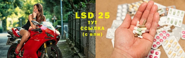 ECSTASY Богородицк
