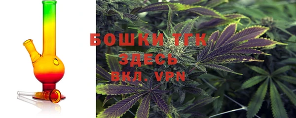 ECSTASY Богородицк