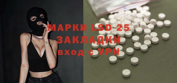 ECSTASY Богородицк