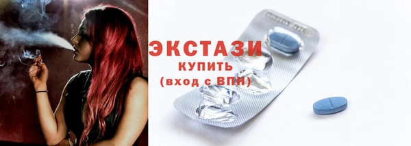 ECSTASY Богородицк