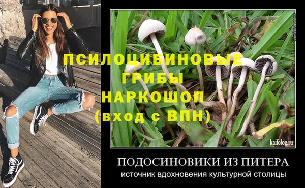 прущая мука Богданович