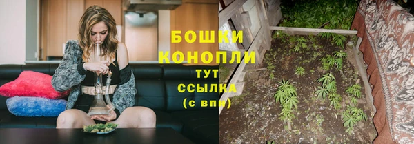 ECSTASY Богородицк