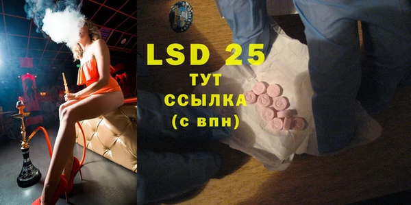 ECSTASY Богородицк