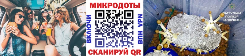 наркошоп  Тольятти  Псилоцибиновые грибы Cubensis 